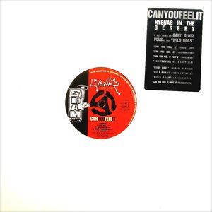 Hyenas In The Desert - Can You Feel It | 1996